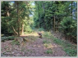 Slika_005.webp