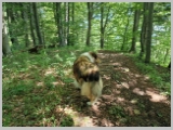 Slika_011.webp