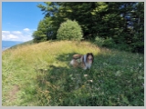 Slika_022.webp