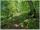 Slika_030.webp