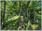 Slika_031.webp