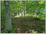 Slika_032.webp