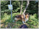 Slika_035.webp