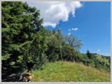 Slika_045.webp