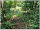 Slika_048.webp