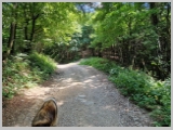 Slika_051.webp