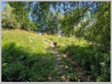 Slika_056.webp