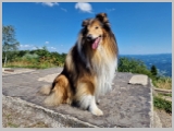 Slika_059.webp