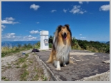 Slika_060.webp