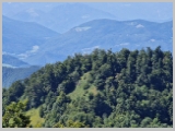 Slika_061.webp