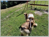Slika_067.webp