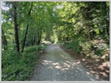 Slika_080.webp