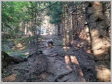 Slika_002.webp