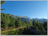 Slika_004.webp