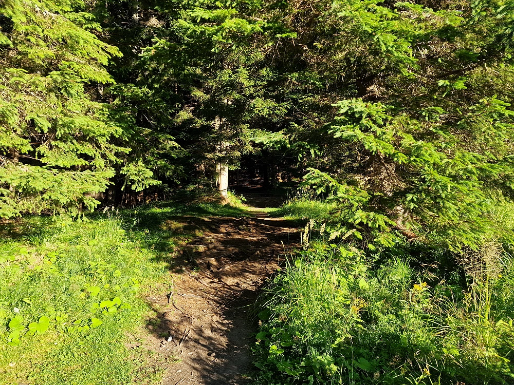 Kofce gora, Veliko Kladivo, 9. 8. 2025