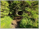 Slika_005.webp