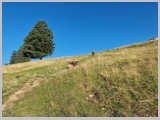 Slika_008.webp