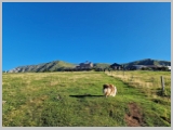 Slika_009.webp