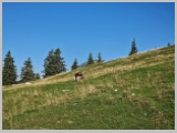 Slika_010.webp