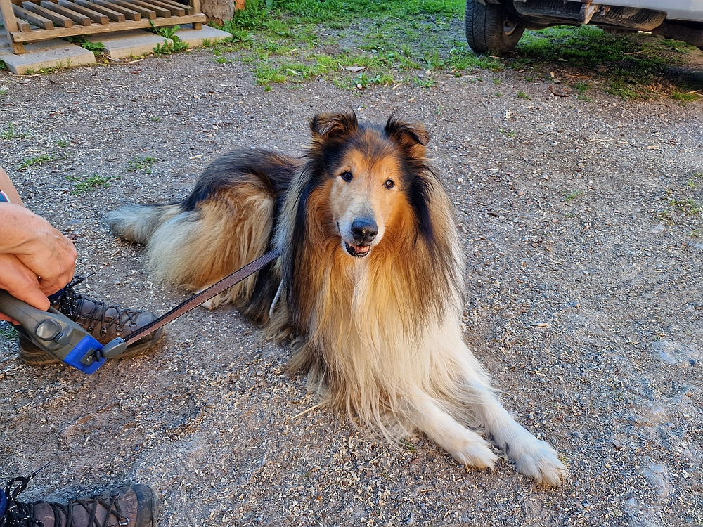 Kofce gora, Veliko Kladivo, 9. 8. 2025