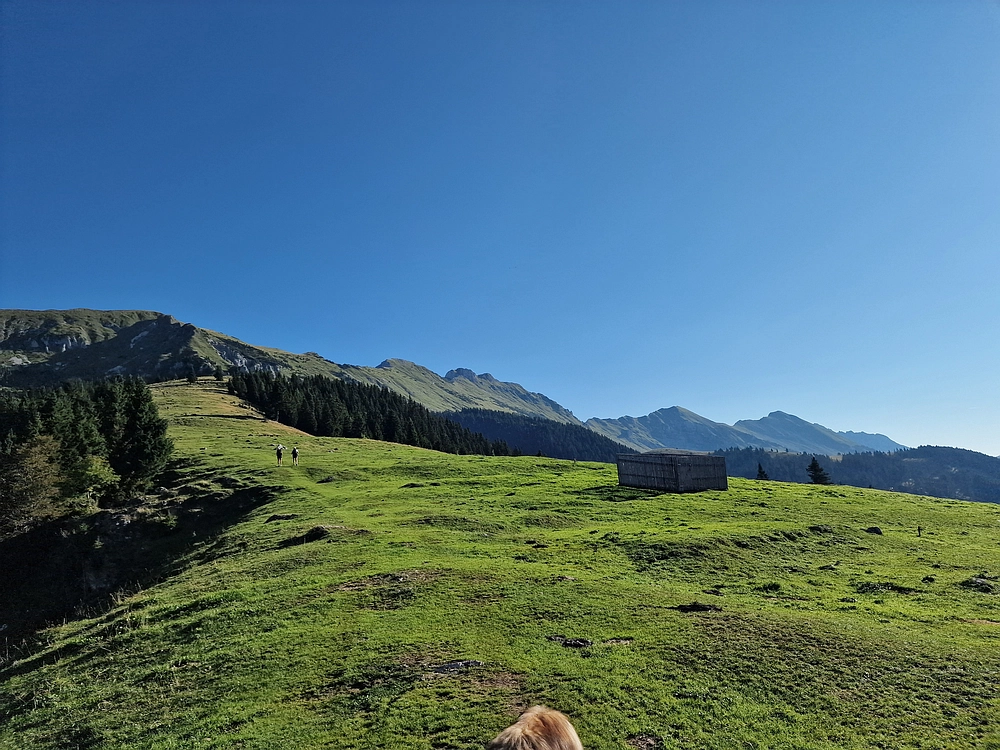Kofce gora, Veliko Kladivo, 9. 8. 2025
