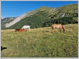 Slika_026.webp