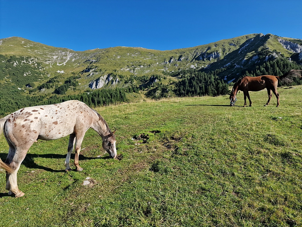 Kofce gora, Veliko Kladivo, 9. 8. 2025