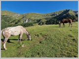 Slika_027.webp