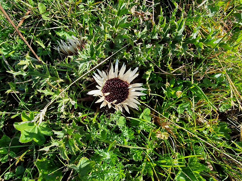 Kofce gora, Veliko Kladivo, 9. 8. 2025