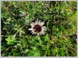 Slika_028.webp