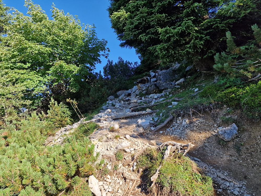 Kofce gora, Veliko Kladivo, 9. 8. 2025