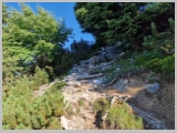 Slika_031.webp
