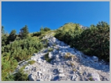 Slika_035.webp
