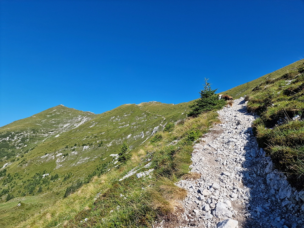 Kofce gora, Veliko Kladivo, 9. 8. 2025