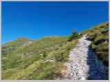 Slika_037.webp