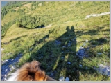Slika_038.webp