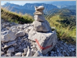 Slika_039.webp
