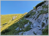 Slika_042.webp