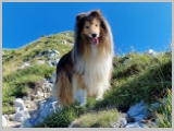 Slika_043.webp