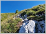 Slika_045.webp
