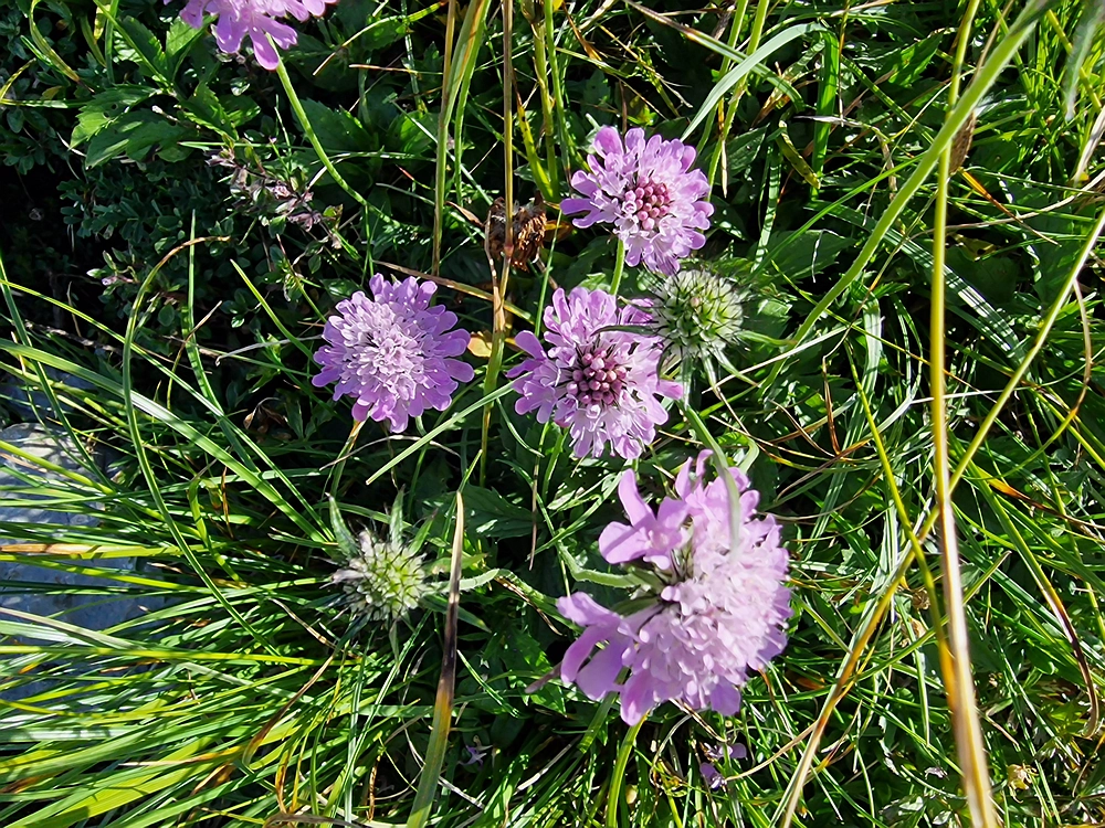 Kofce gora, Veliko Kladivo, 9. 8. 2025