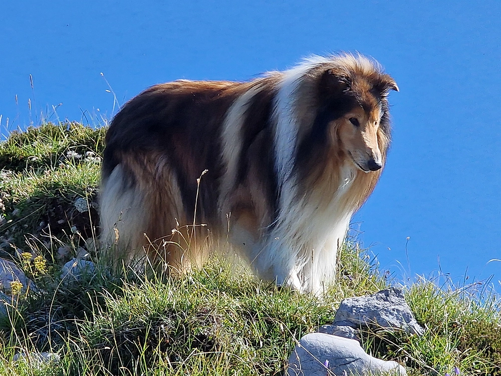 Kofce gora, Veliko Kladivo, 9. 8. 2025