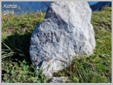 Slika_053.webp