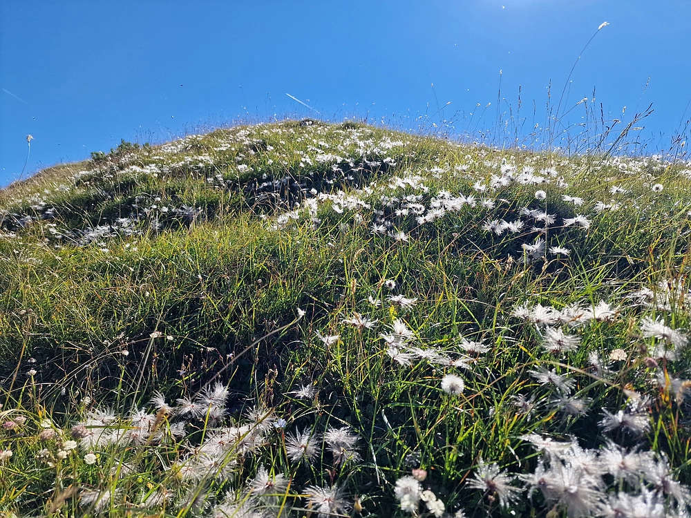 Kofce gora, Veliko Kladivo, 9. 8. 2025