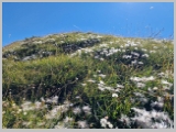 Slika_061.webp