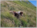 Slika_063.webp