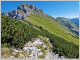 Slika_068.webp