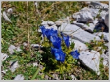 Slika_070.webp