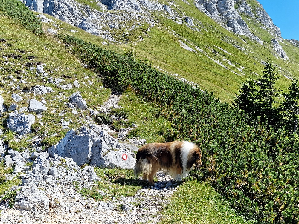 Kofce gora, Veliko Kladivo, 9. 8. 2025