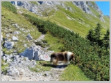 Slika_071.webp